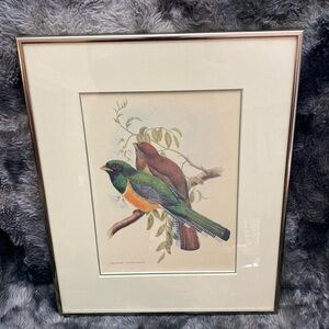 Framed Trogon Bird Art Print